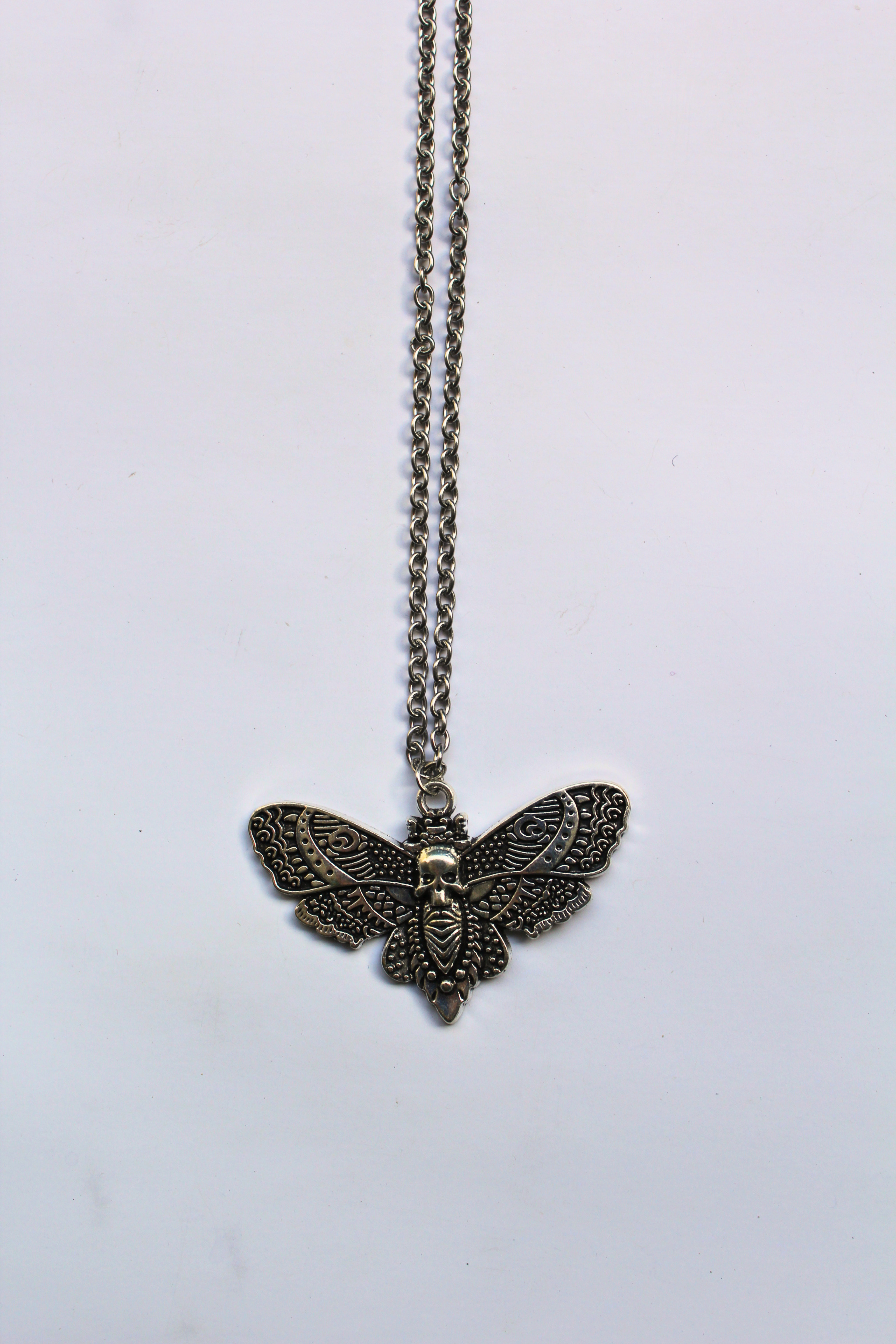 Noctis moth