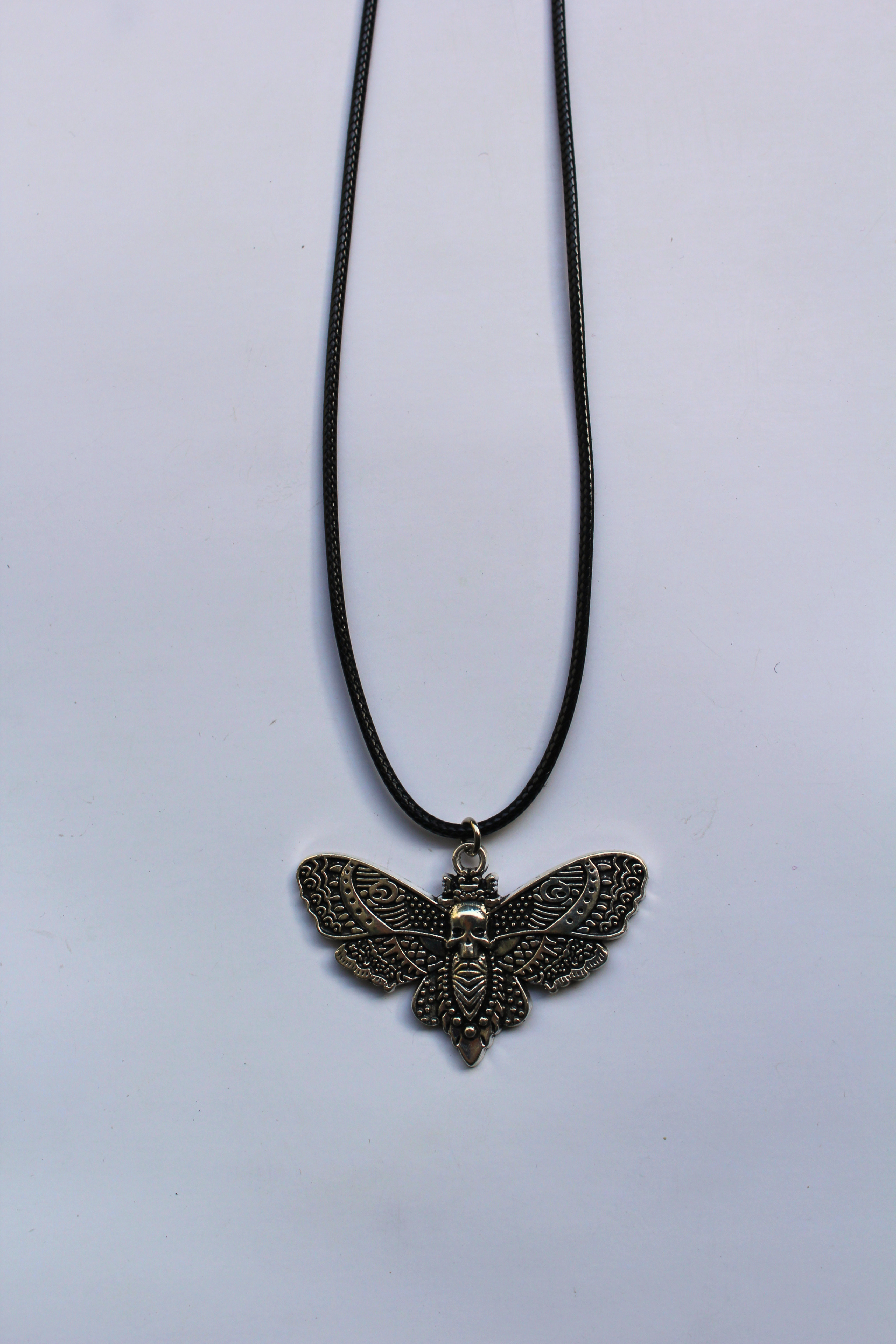 Noctis moth